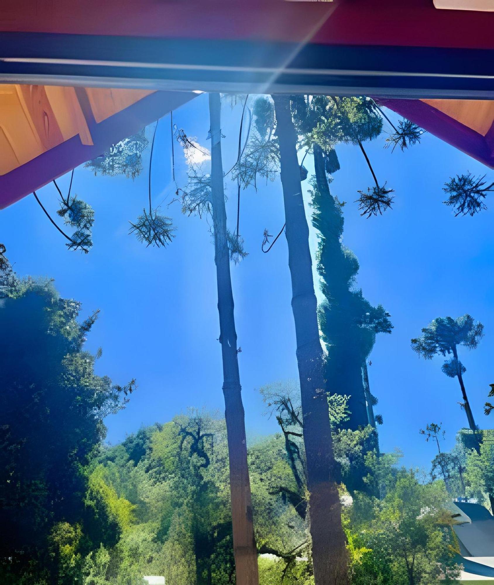 Cabana Suspensa Na Natureza - Regiao Turistica Campos do Jordão Exterior foto
